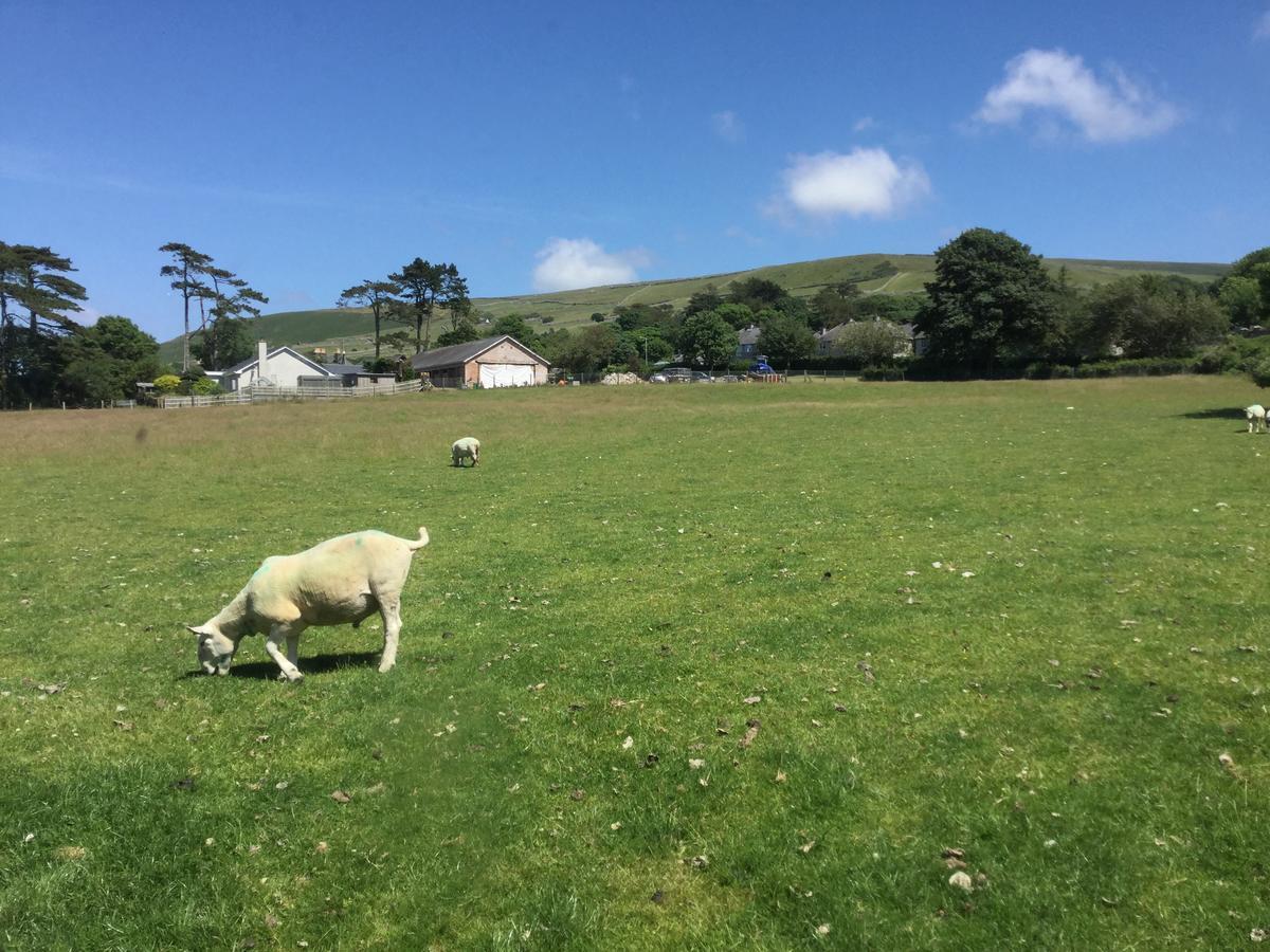 Plas Y Nant Llwyngwril Luaran gambar